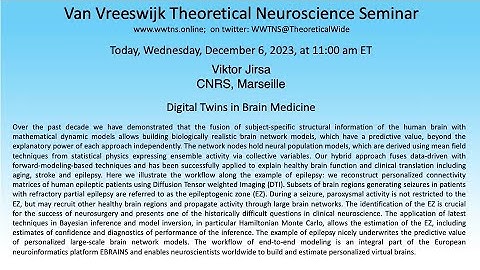 Digital Twins in Brain Medicine | Viktor Jirsa CNRS, Marseille