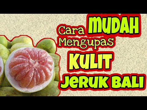 Video: Cara Memotong Jeruk Bali