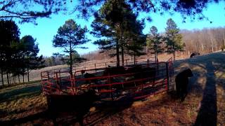 Constructing a calf feeder to give the calves a little extra something to munch on at Ozie Hills Ranch! During the winter, our fall-born 