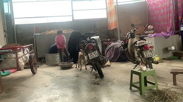 Petals of Unity: Creating Exquisite Flower Arrangements Together