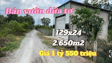 T1420💕Bán 2,6 công vườn dừa,đường ôtô cặp kênh xã Long Định Tiền Giang