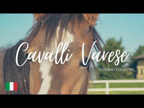 Video: Come Hai Ottenuto Quel Concerto: Guida Turistica A Cavallo In Spagna - Matador Network