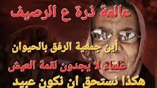 Download Lagu شوفتوا وصلنا لإيه MP3