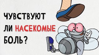 ЧУВСТВУЮТ ЛИ НАСЕКОМЫЕ БОЛЬ?