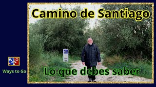 CAMINO DE SANTIAGO: Lo que debes saber antes de hacerlo.