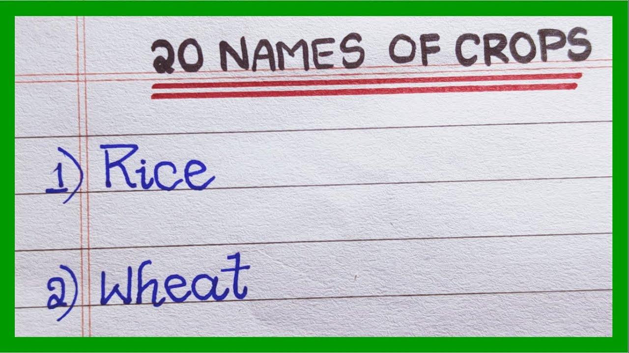 names-of-crops-in-english-list-of-crops-10-name-20-names-of-crops