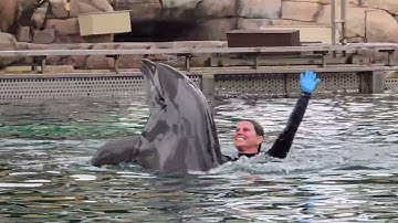 Dolphin Connections at SeaWorld San Diego on September 20, 2025