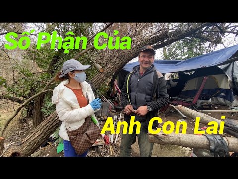 Video CUỘC ĐỜI ANH CON LAI Ở PHILIPPINES 17 NĂM ĐƯỢC TRỊNH... - youtube