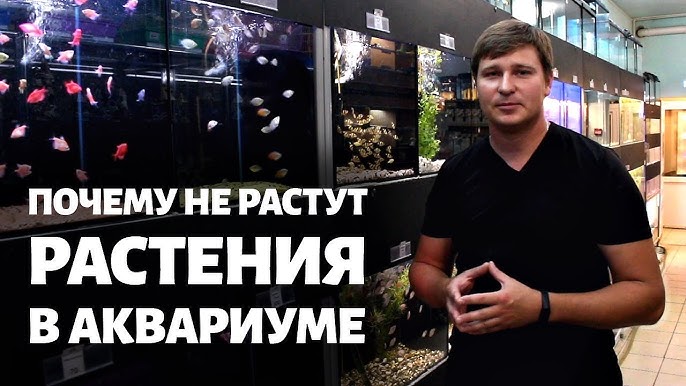 Что делать, если видео или игры не запускаются