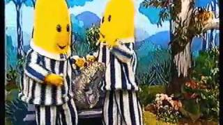 Bananas In Pyjamas Shiny Things 1994