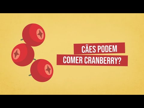 Vídeo: Cranberry Para Cães - Os Cães Podem Comer Cranberries?