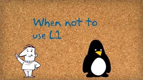 The usage of L1 at the L2 classroom