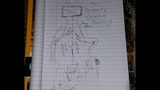 94-96 Caprice / Impala SS,  LS Swap Cruise Control Wiring DBW