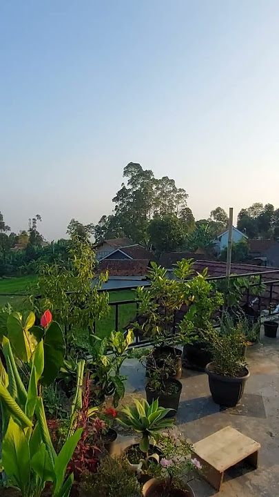 kapalang Nyaah deudeuh #shorts #abieljatnika