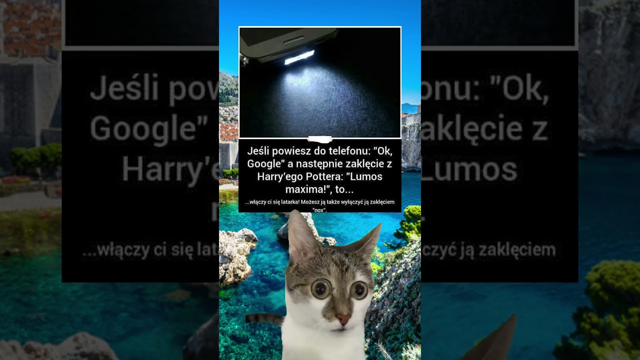 Zrób to w Google – magia naprawdę działa #shorts #magia #google #ai