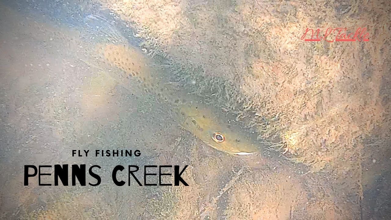 Fly Fishing Penns Creek PA Day 1 YouTube