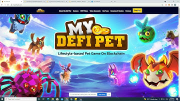 Tutorial on how to setup metamask and buy dpet for PC(TAGALOG)