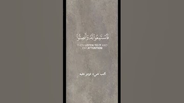 القران الكريم | القارئ ياسر الدوسري | اكتب شيء تؤجر عليه 🤍