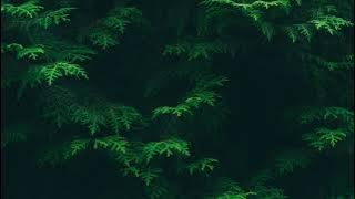 Backsound Lagu Santai No copyright