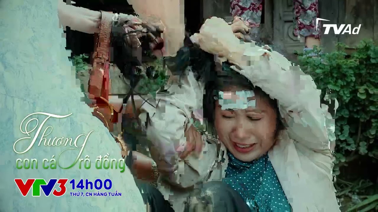 Trailer THƯƠNG CON CÁ RÔ ĐỒNG VTV3 - YouTube