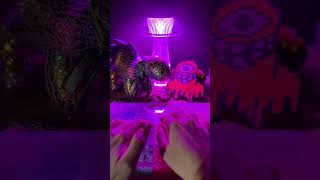 Putting you to sleep after EDC | Lofi ASMR for Ravers