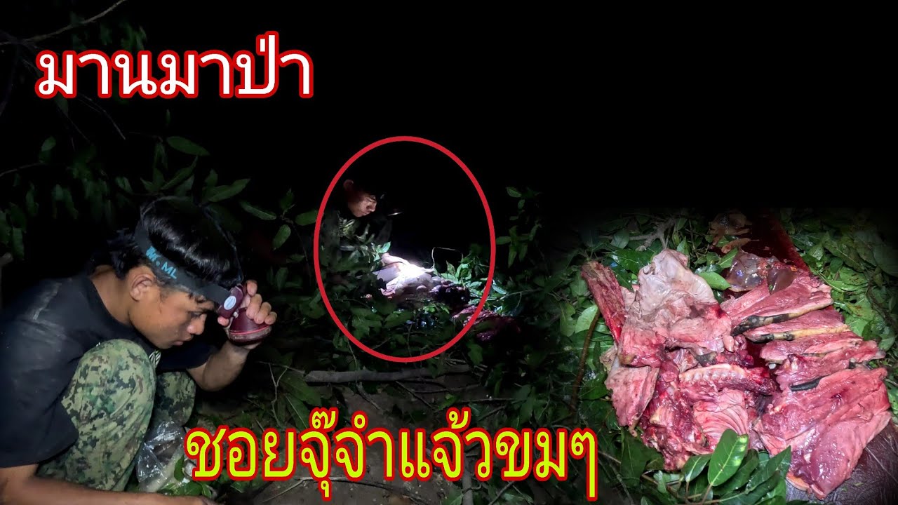 วันนี้เป็นวันนายพรานเดือนมานสัดใหญ่แล้ว