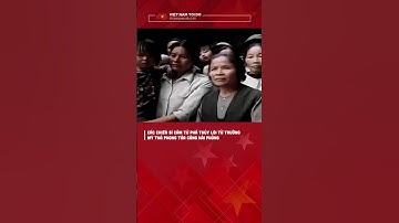 Các chiến sĩ cảm tử phá thủy lôi từ trường Mỹ thả phong tỏa cảng Hải Phòng #giaiphongmiennam