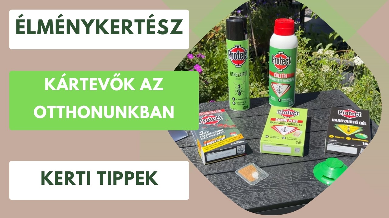 Kártevők az otthonunkban🪰 Hogyan védekezhetünk ellenük?🐜 Protect hangyák elleni készítmények