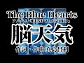 脳天気  歌詞付き The Blue Hearts「THE BLUE HEARTS」