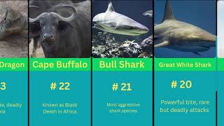 🐾 TOP 30 DEADLIEST ANIMALS IN THE WORLD