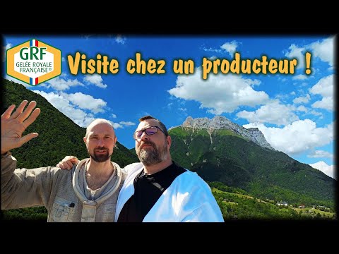 GELÉE ROYALE FRANÇAISE - Visite en Savoie chez Michaël Gourreau