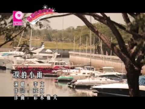李文 泪的小雨