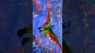 Amazing Clip Watching This Video Toon