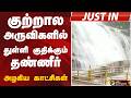 #JUSTIN: குற்றால அருவிகளில் துள்ளி குதிக்கும் தண்ணீர்.. அழகிய காட்சிகள்