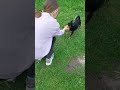 Жужа - быстрая как стрела🐶 #калининград#риелторкалининград  #travel