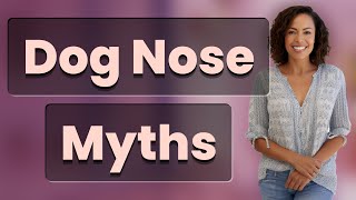 Does a Dry or Warm Nose Mean Your Dog Is Sick?