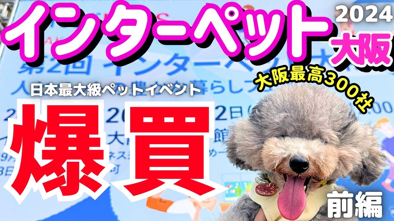 【インターペット2024大阪 速報】日本最大級のペットイベントで爆買い＆無料サンプル試食ノベルティーに大興奮🐶【インテックス大阪】前編 【厳選出展者16社紹介・過去最多300社】