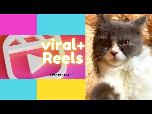 VIRAL on Reels [wowgemes] class=