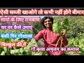 Benefits of Go- Krupaamrutam || गो-कृपा अमृतम || Bansi Gir Gaushala