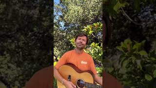 Yalın - Olmasa Da Olur Resimi