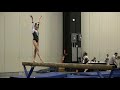 20 times when Whitney Bjerken fell in competition