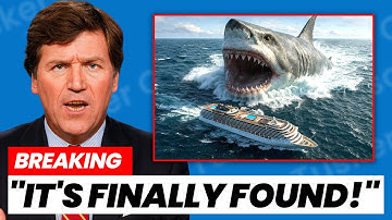 Marine Biologists Solved the Case of the Great White Shark That Vanished and It