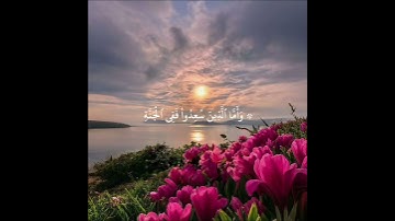 وَأَمَّا ٱلَّذِینَ سُعِدُوا۟ فَفِی ٱلۡجَنَّةِ  #تلاوة#الشيخ ياسر_الدوسري|| سورة هود #اكسبلور