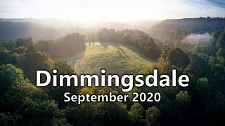Dimmingsdale, Churnet valley. Dawn 2020 (DJI Mavic 2 Pro Drone)