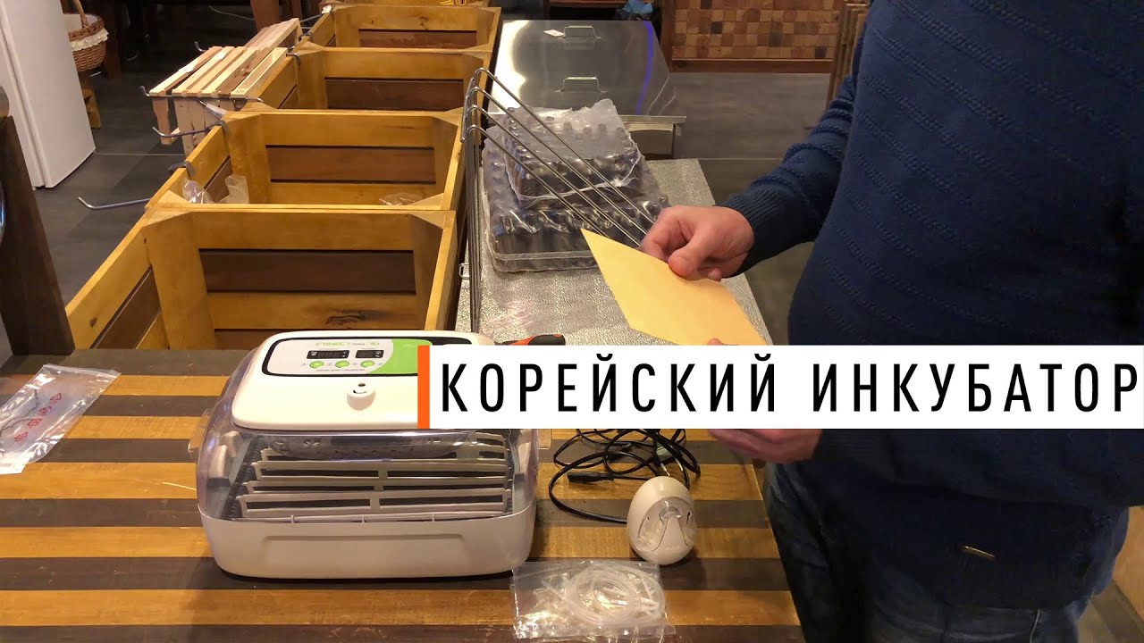Первый инкубатор на рынке Украины для пчелиных маток Rcom Insect 70 ...