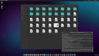 1  Installing WebUI Forge in Linux