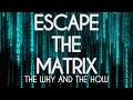 ESCAPE THE MATRIX// the why and the how