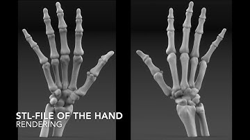 Motion Simulation of the Hand with Mathworks Matlab