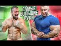 СКОЛЬКО ПОДНИМУТ САМЫЕ БОЛЬШИЕ РУКИ?
