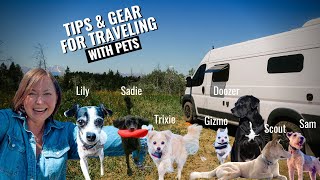 RV Living with Dogs  | Pet Safety, Traveling in Warmer Climates, Tips & Gear | RV Life Travel Vlog